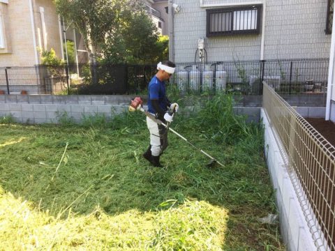 草刈り