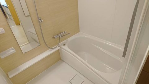 ﾏﾝｼｮﾝﾘﾉﾍﾞｰｼｮﾝ