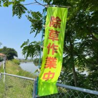 除草作業