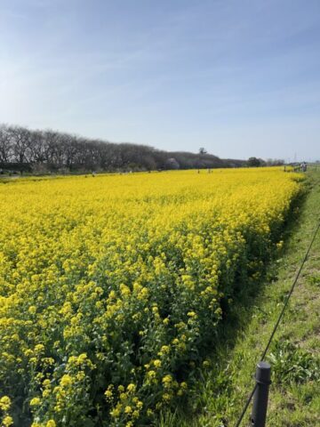 春日部　権現堂　建築会社
