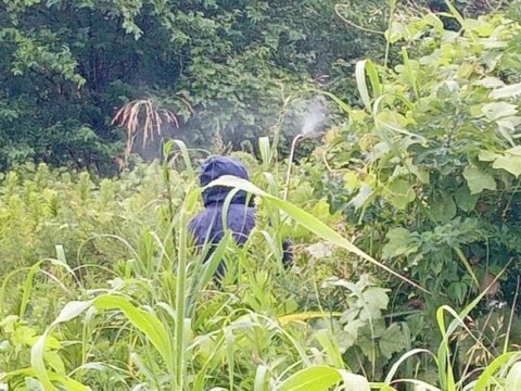 春日部市　リノベーション　建築会社