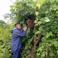 春日部市　リノベーション　建築会社