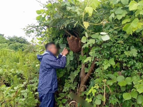 春日部市　リノベーション　建築会社