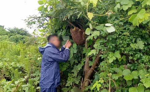 春日部市　リノベーション　建築会社