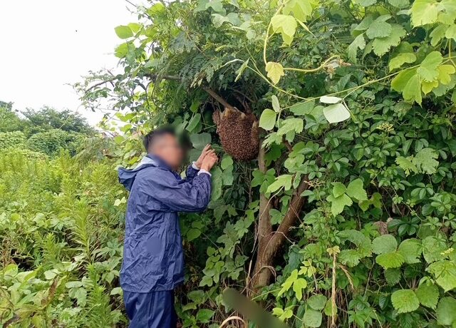 春日部市　リノベーション　建築会社