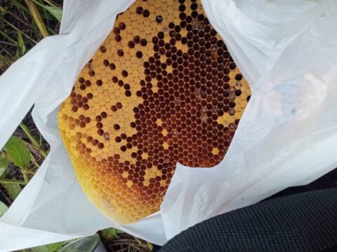 春日部市　リノベーション　建築会社