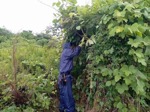 春日部市　リノベーション　建築会社
